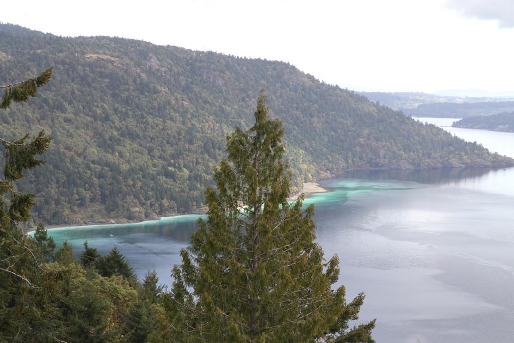 Moon Water Lodge Malahat Rum bild