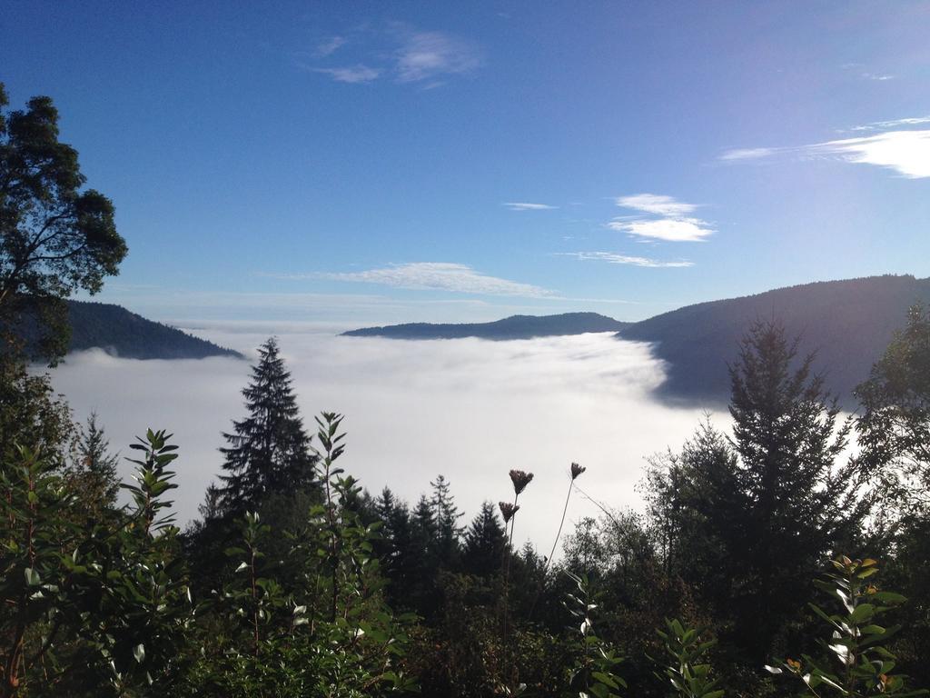 Moon Water Lodge Malahat Rum bild